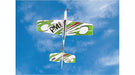 slowflyer - Multiplex BK+ParkMaster PRO 3D Flyer 