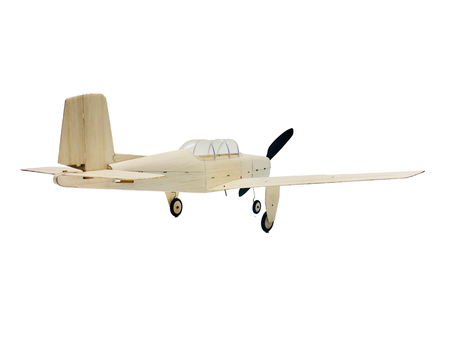 slowflyer - MinimumRC T-35 460mm Warbird 