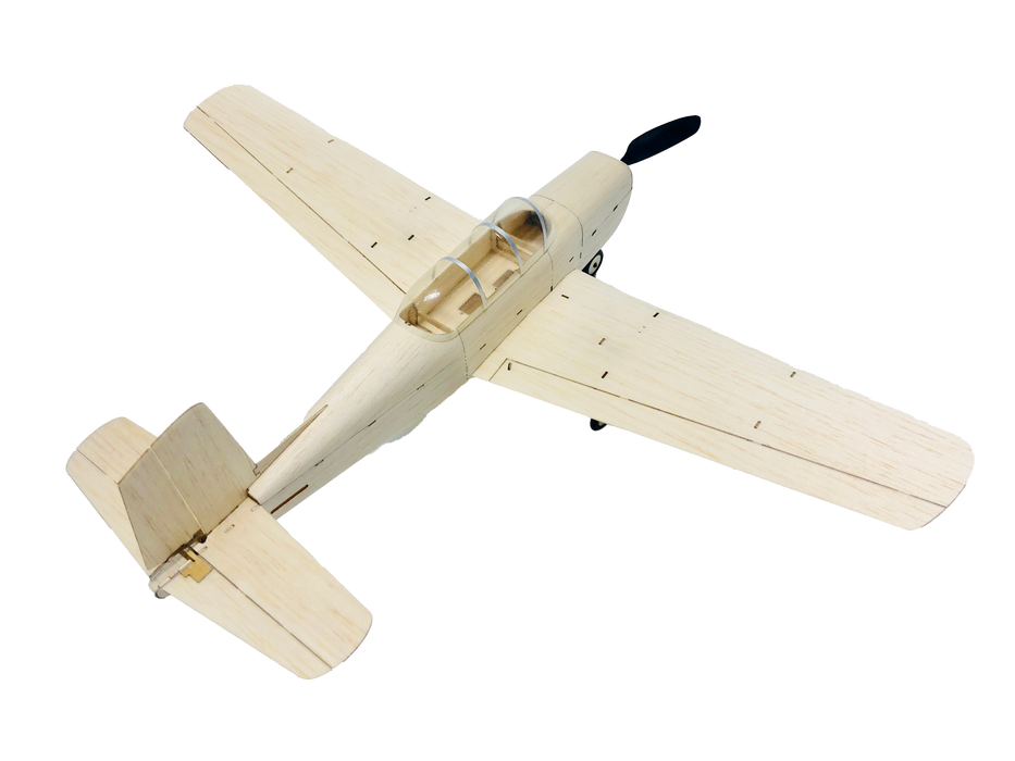 slowflyer - MinimumRC T-35 460mm Warbird 