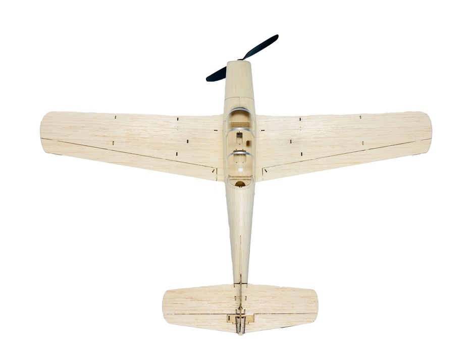 slowflyer - MinimumRC T-35 460mm Warbird 