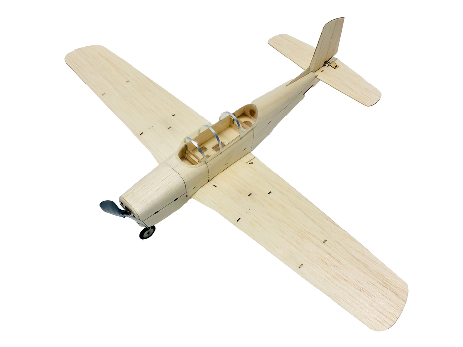 slowflyer - MinimumRC T-35 460mm Warbird 