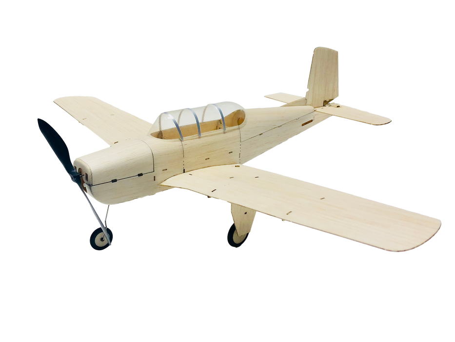 slowflyer - MinimumRC T-35 460mm Warbird 