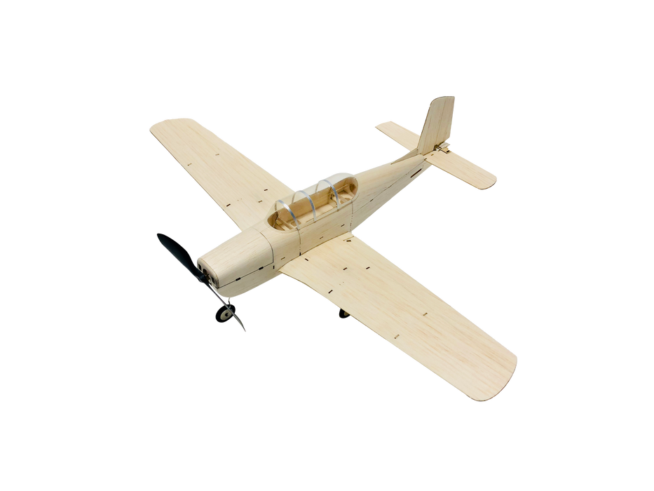 slowflyer - MinimumRC T-35 460mm Warbird 