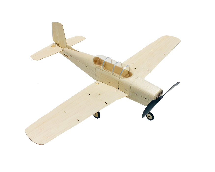 slowflyer - MinimumRC T-35 460mm Warbird 