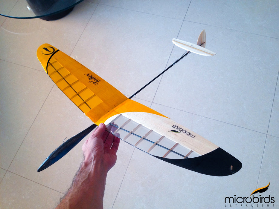 slowflyer - Microbirds Feather² Squared Micro F3K UltraLight DLG Segelflugzeug 