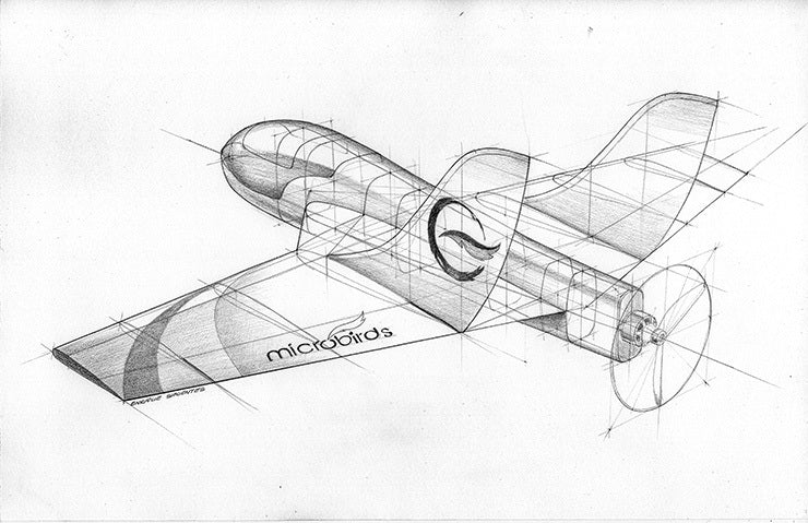 slowflyer - Microbirds Micro Falcon RC Elektro-Jet Jet 